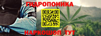 ПСИЛОЦИБИНОВЫЕ ГРИБЫ Аргун