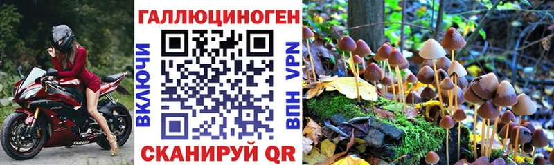 Псилоцибиновые грибы ЛСД  купить  цена  Балахна 